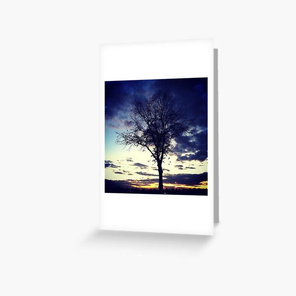 TREE AT DUSK Greeting Card