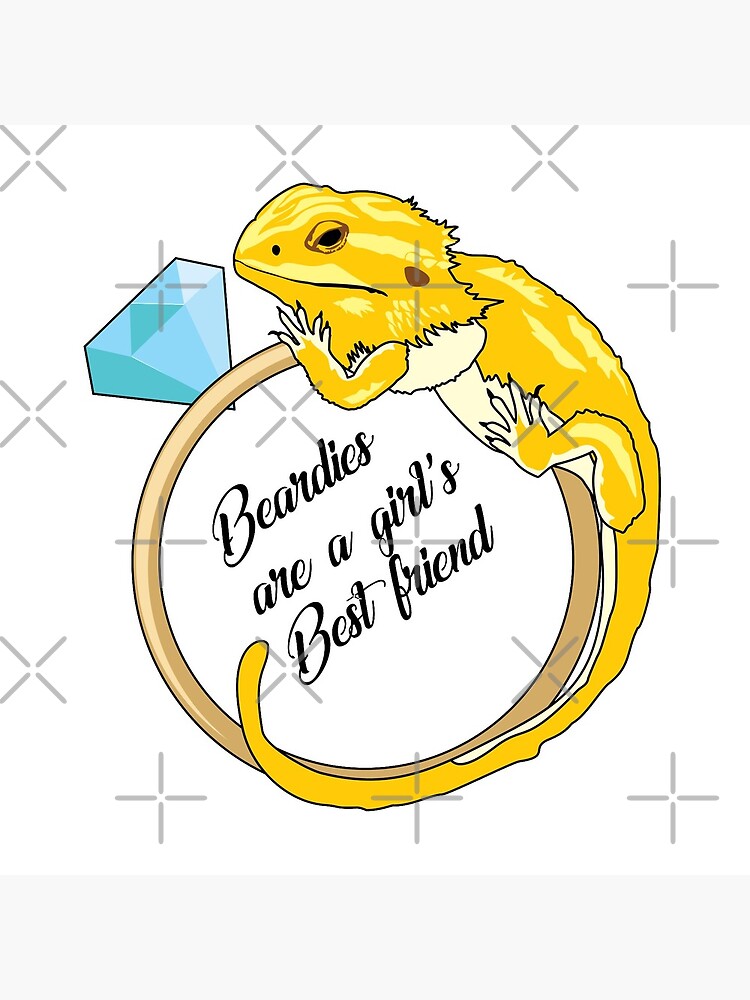 Beardies Are a Girls Best Friend by snibbo71