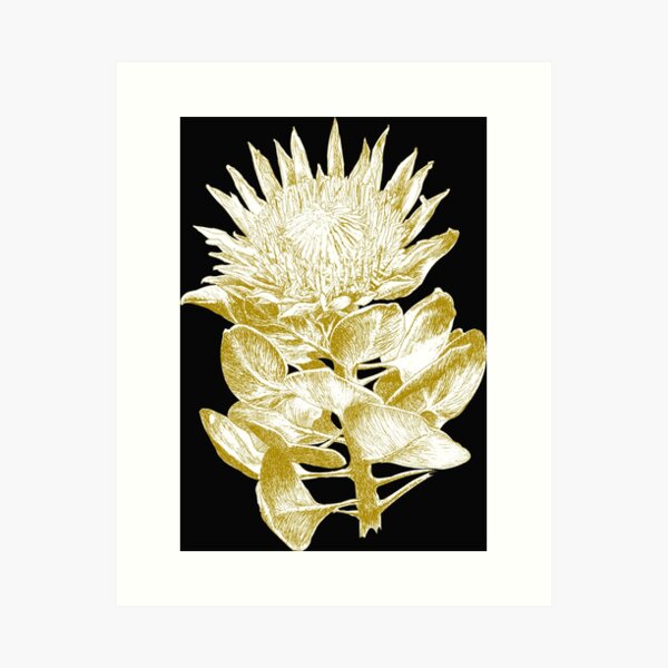 Protea cynaroides gold ink art prints Art Print