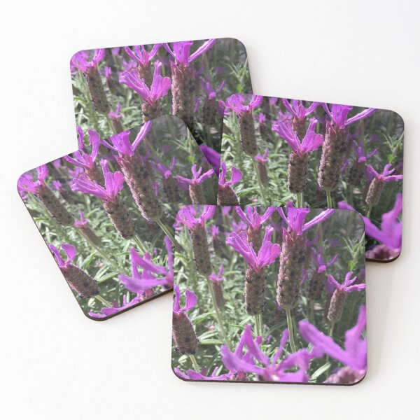 Item preview, I Love Lavenders and All Their Facial Expressions- Perfect for Nature and Plants Loves designed and sold by AmazingEcraft.
