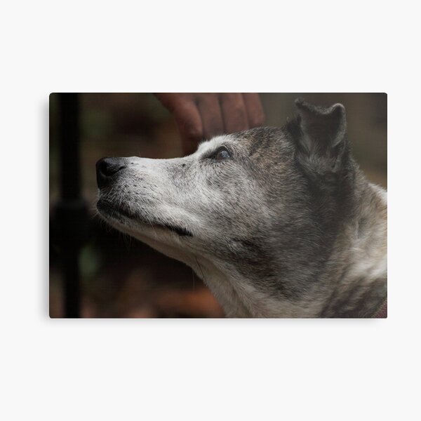 Look of Love Metal Print