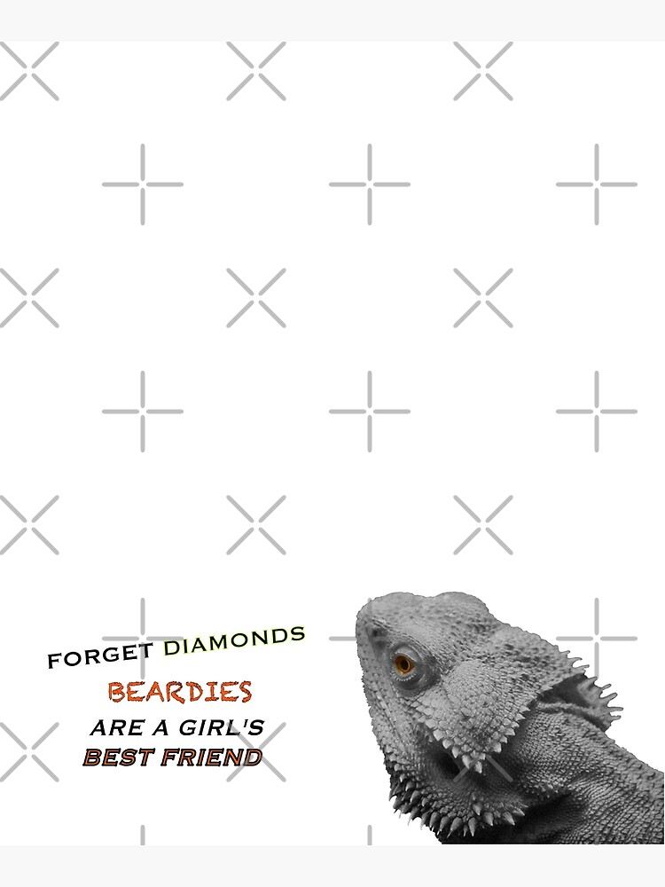 Forget Diamonds - Beardies Are A Girls Best Friend by snibbo71