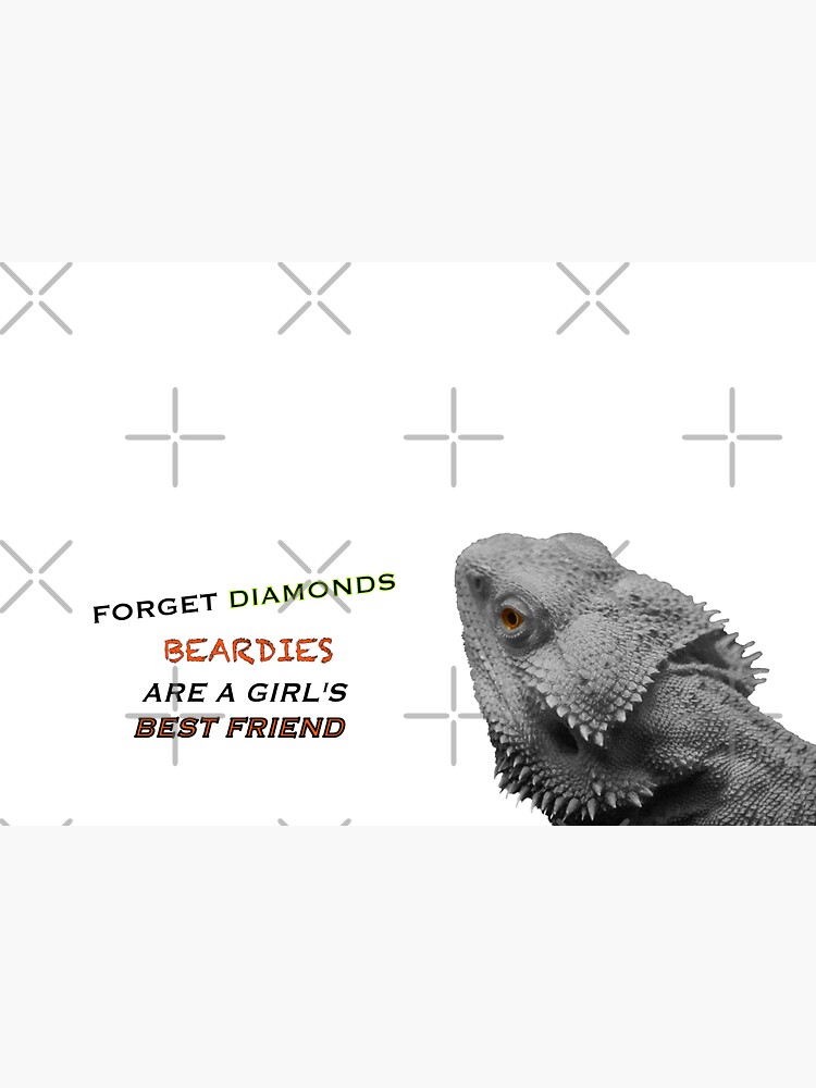 Forget Diamonds - Beardies Are A Girls Best Friend by snibbo71