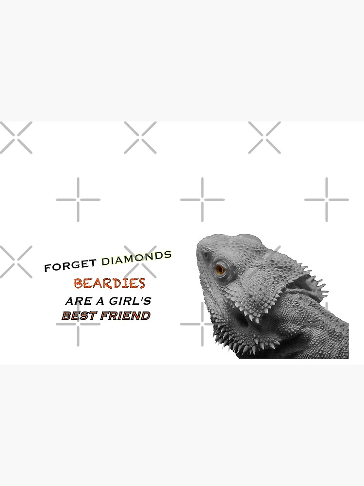 Forget Diamonds - Beardies Are A Girls Best Friend by snibbo71