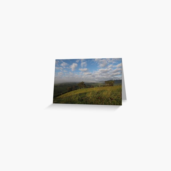 Item preview, Morning Bega designed and sold by Tom McDonnell.