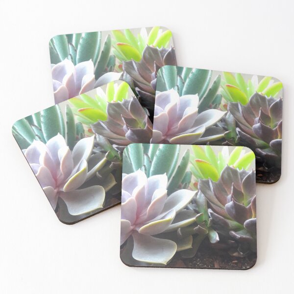 Item preview, Cute Succulents designed and sold by pheebstheartist.