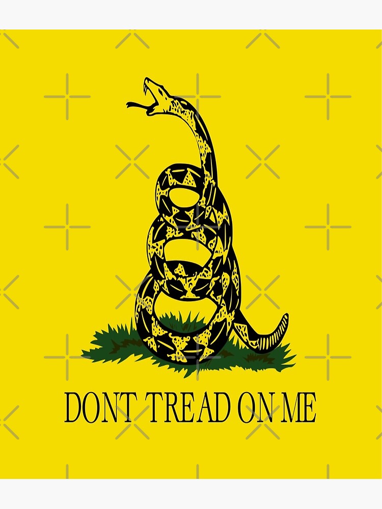 USA Gadsden Flag Dont Tread On Me No Step On Snek Liberty of Death  Rattlesnake