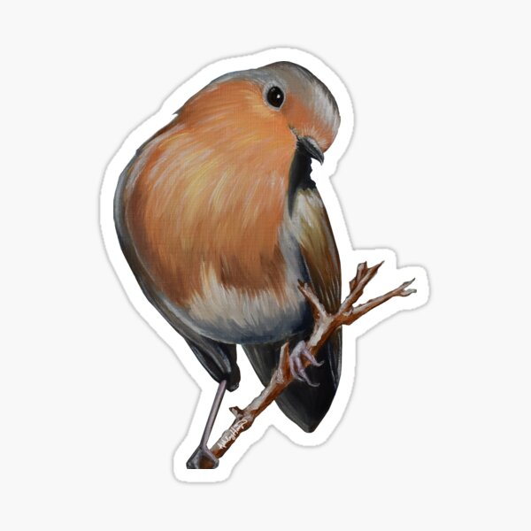 European Robin on Branch Sticker