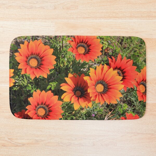 Item preview.
