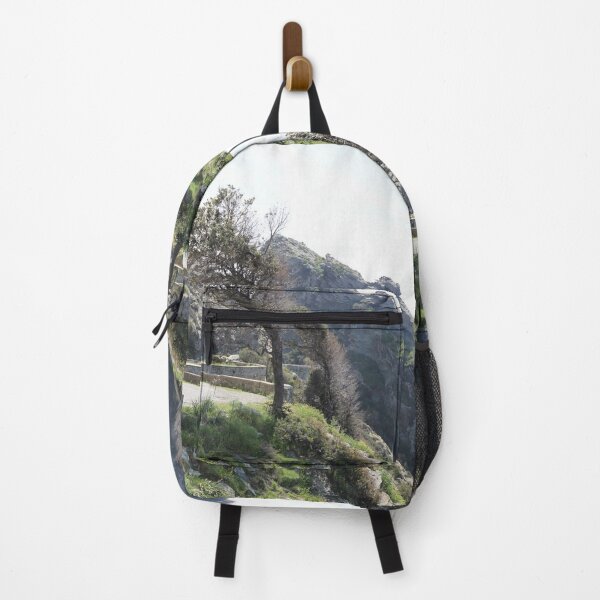 Item preview.