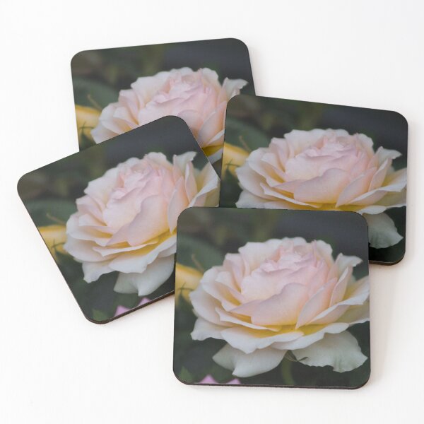 Item preview, Rose designed and sold by alexandracpinto.