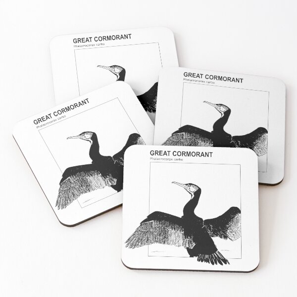 Item preview, Boceto del Gran Cormorán (versión en inglés) - Boceto designed and sold by TheLostBreton.