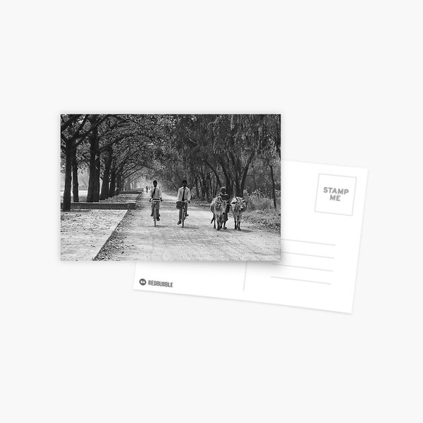 Slow travel... Postcard