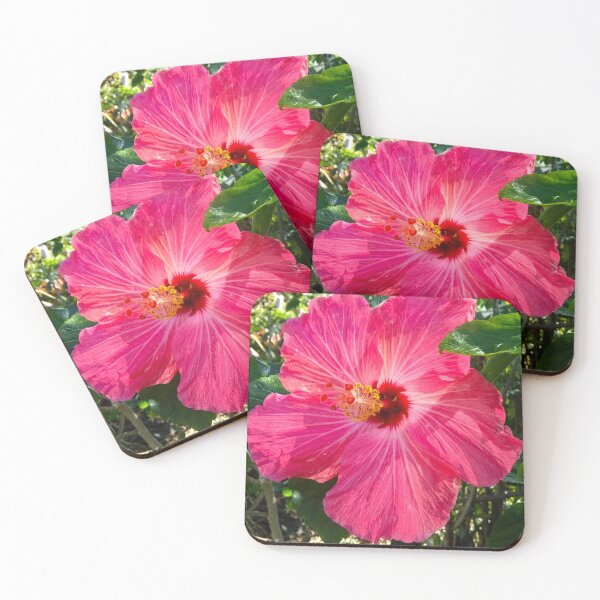 Item preview, Beautiful Pink Hibiscus Flower designed and sold by pheebstheartist.