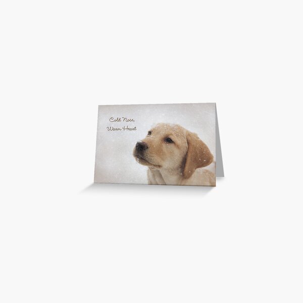 Cold Nose Warm Heart Greeting Card