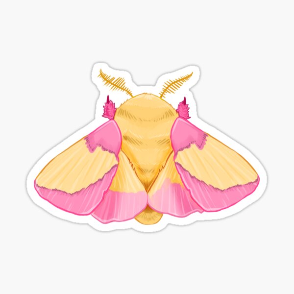 Item preview, Rosy Maple Moth designed and sold by Aspynnk.