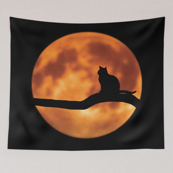 Item preview, Cat moon designed and sold by mouad naouiri.