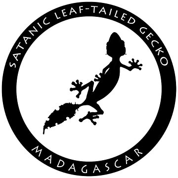Artwork thumbnail, Satanic leaf-tailed gecko Madagascar wildlife - black print by Moira Risen