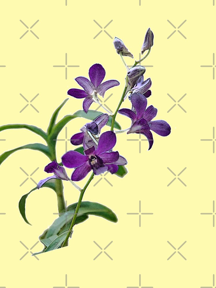 Purple Cymbidium Orchids for iPhone by photorolandi