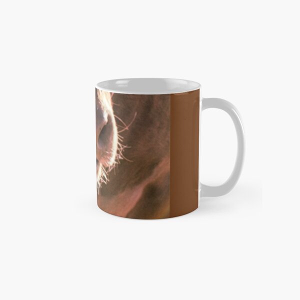 QUARANTINE Classic Mug