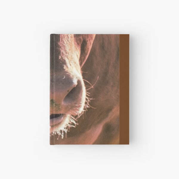 QUARANTINE Hardcover Journal