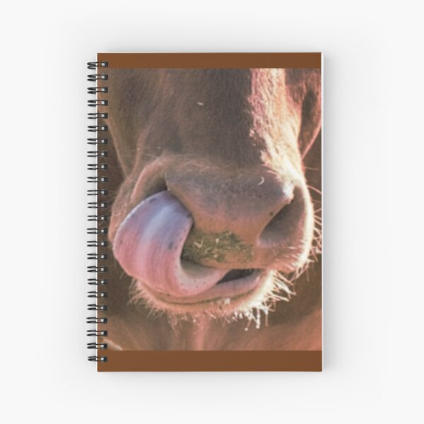 QUARANTINE Spiral Notebook