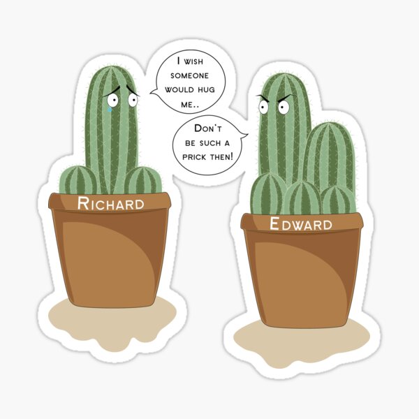 Comment le cactus est devenu la plante-déco dont tout le monde est accro -  La Libre