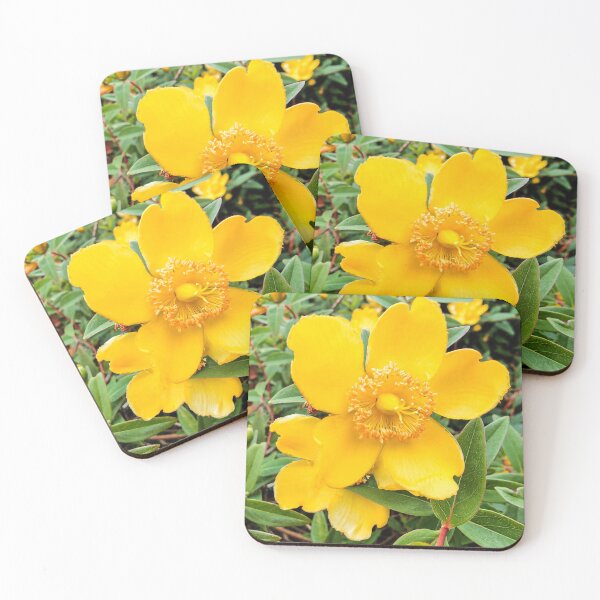 Item preview, Beautiful Yellow Hypericum St John Wart Flower designed and sold by art-deco-lady.