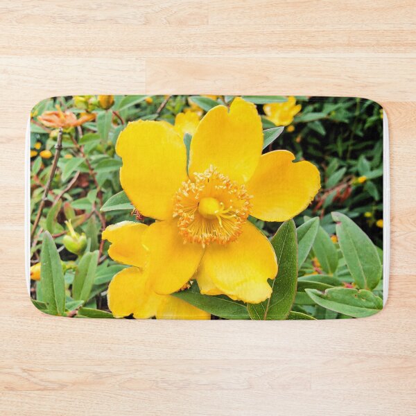 Item preview, Beautiful Yellow Hypericum St John Wart Flower designed and sold by art-deco-lady.