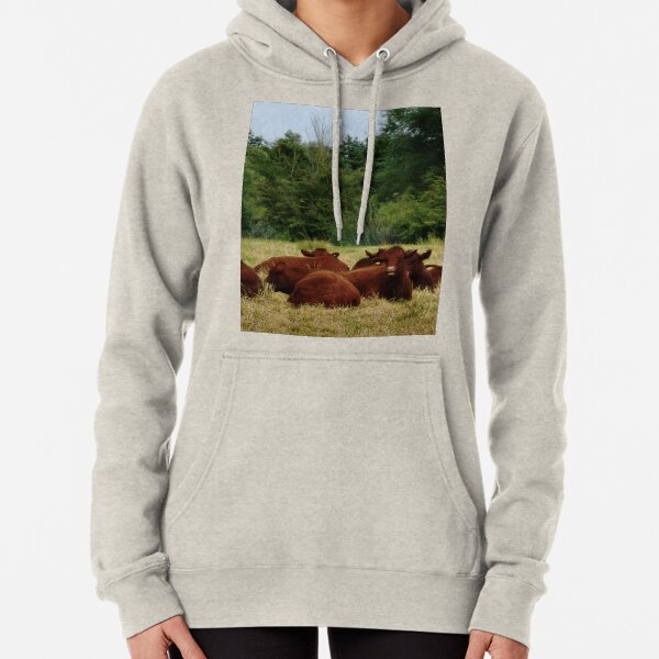 Bovine break Pullover Hoodie