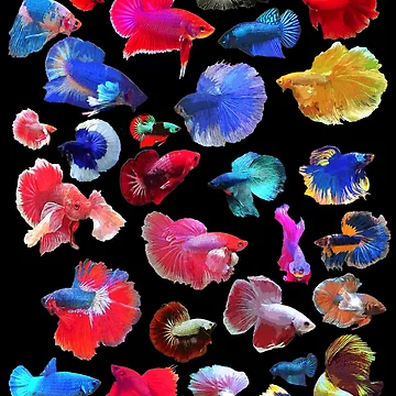 Artwork thumbnail, Betta Sticker Collection by GFishy