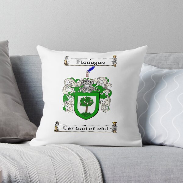 Family Crest and Coat of Arms clothes and gifts Hemphill Coat of Arms-Family Crest Throw Pillow Multicolor 18x18 Family Crest and Coat of Arms clothes and gifts Hemphill Coat of Arms-Family Crest Throw Pillow Multicolor 18x18