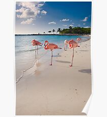 Flamingos on a Beach Poster