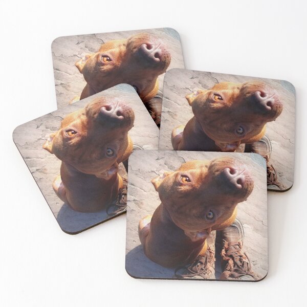 Item preview, Constant Companion designed and sold by Kristina Gale.