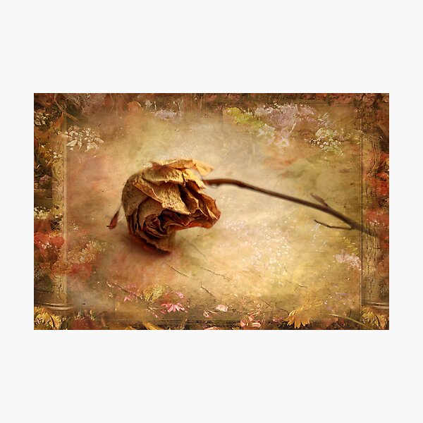 Item preview, VIctorian Keepsake designed and sold by Jessica Jenney.