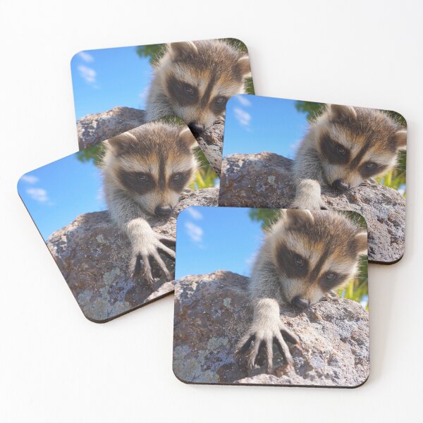 Item preview, Cute Animals Baby Raccoon designed and sold by RiffXS.