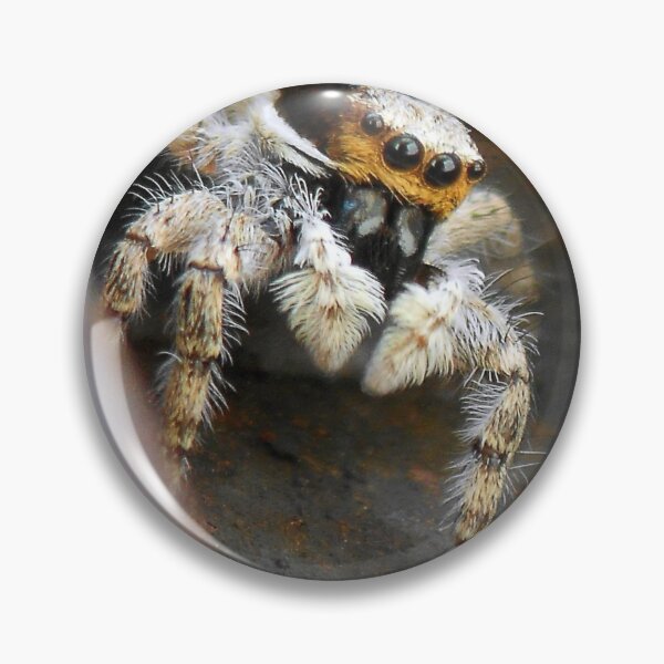 Item preview, ©NS Colmillos IIA. designed and sold by OmarHernandez.
