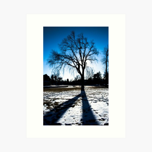 Item preview, Tree Shadow designed and sold by Jake Kauffman.