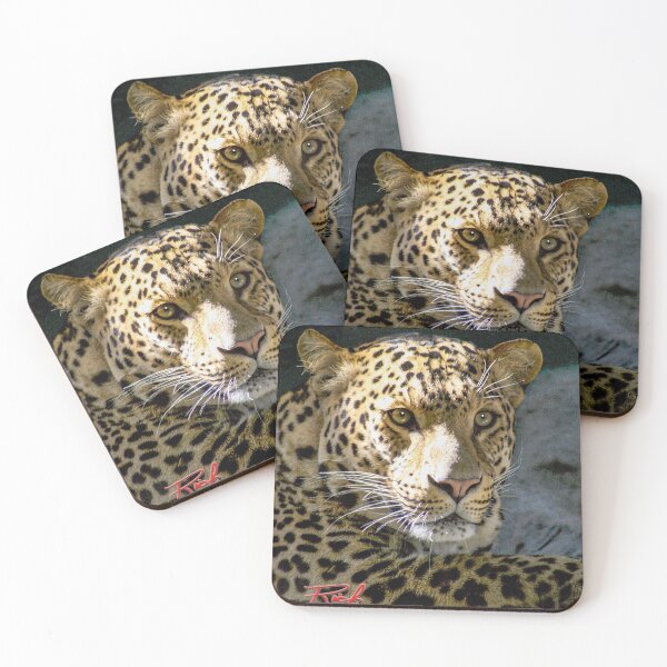 Item preview, "Leopard Stare" Design by Rich AMeN Gill designed and sold by RichAMeNGill.
