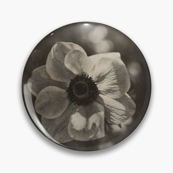 Item preview, Anemone coronary - Sepia designed and sold by joneagoitz.