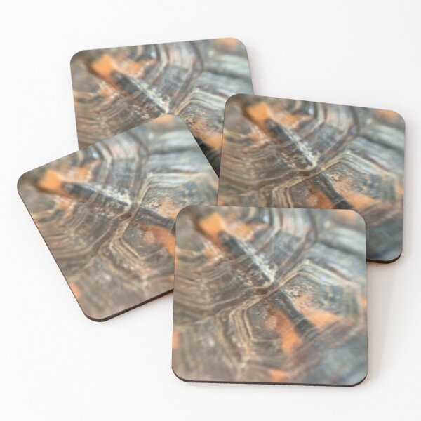 Item preview, Box Turtle Shell Closeup designed and sold by LittleDeerPhoto.
