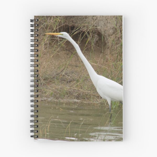 Item preview, Great Egret (Ardea alba) Stretching designed and sold by Inuyasha907.