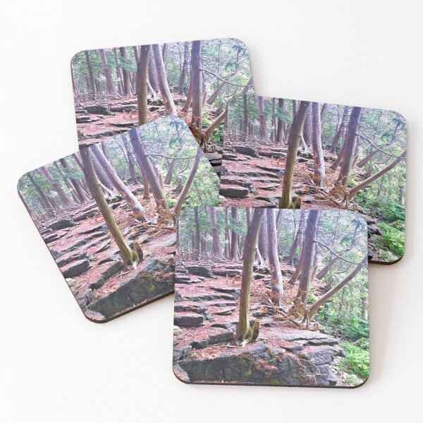 Item preview, Woodland Rockledge / Forest Floor / Tree Roots / Woods / Rock Wall  designed and sold by artenvironments.