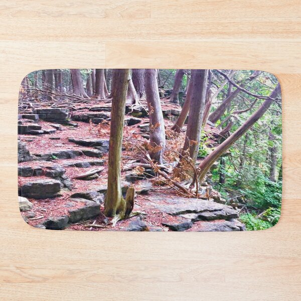 Item preview, Woodland Rockledge / Forest Floor / Tree Roots / Woods / Rock Wall  designed and sold by artenvironments.