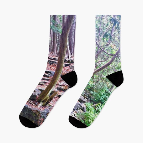 Item preview, Woodland Rockledge / Forest Floor / Tree Roots / Woods / Rock Wall  designed and sold by artenvironments.