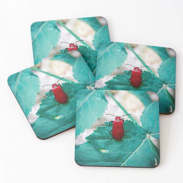 Item preview, Ruby beetle designed and sold by Lucas-Photo.