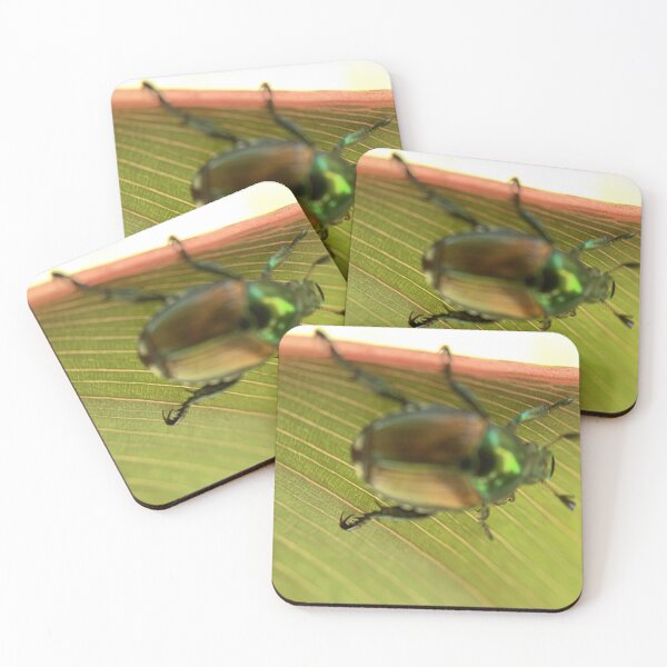 Item preview, Beetle on a Leaf designed and sold by LittleDeerPhoto.