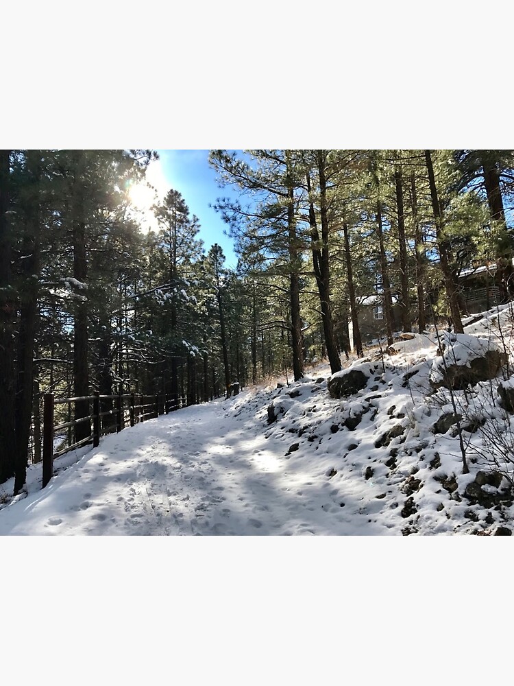 "Flagstaff Urban Trail System" Poster by seg275 Redbubble