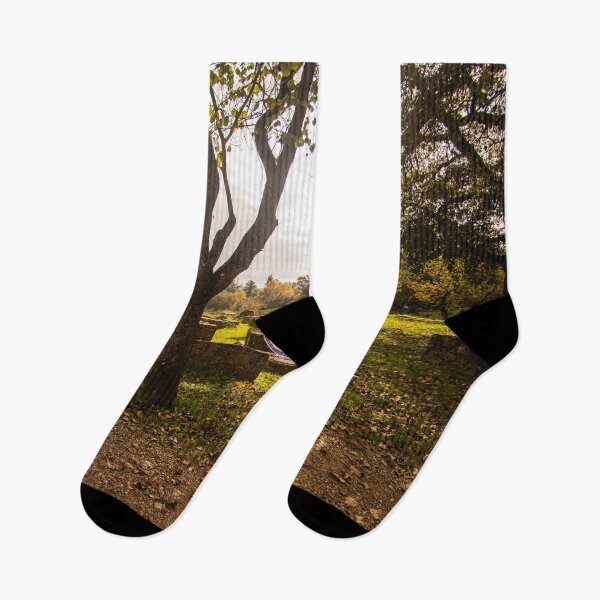 Aperçu de l'œuvre Paysages avec parapluie créée et vendue par KensLensDesigns.