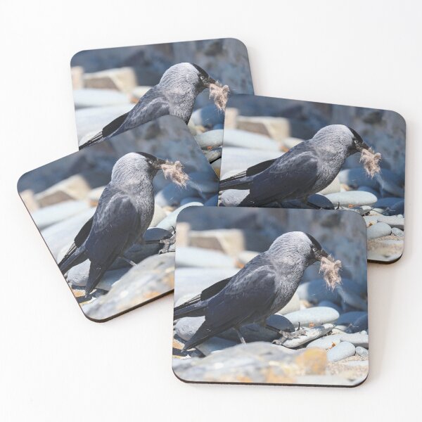 Item preview, Jackdaw collecting nesting material designed and sold by GreyFeatherPhot.